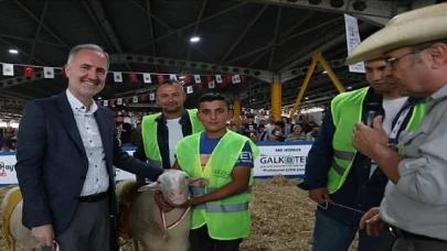 Yerli Tavuk Irkları İle Koçlar İnegöl’de Podyuma Çıkacak