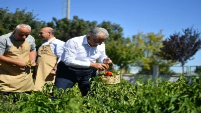 Başkan Büyükkılıç, organik ürünleri elleriyle topladı, yemek pişirdi