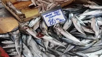 Bursa Tuz Pazarı’nda balık sezonu yoğunluğu başladı