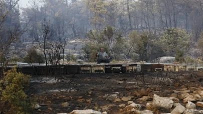 Büyükşehir Yangından Etkilenen Arıcılara Destek Olacak