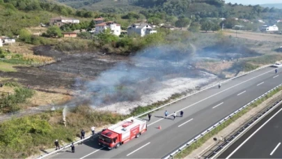 Düzce’de anız yangını! Fındık arazisi zarar gördü!