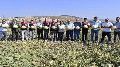 Foça’da 5. Geleneksel Kavun Hasat Şenliği Coşkuyla Kutlandı