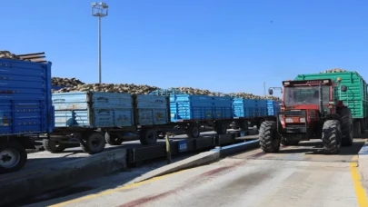 Konya’da pancar alımları başladı... Bu yıl verim iyi!