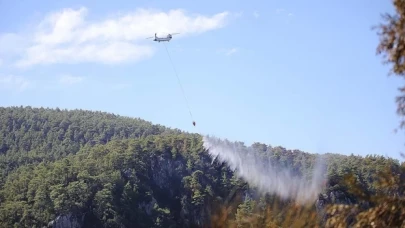 Muğla'da çıkan orman yangınına müdahale sürüyor