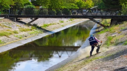 Sakarya’da Çark Deresi’nin çevresi temizleniyor