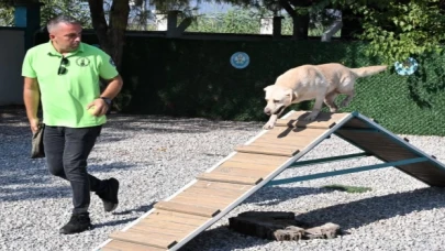 ’Tanyel’ çocukların can yoldaşı oldu