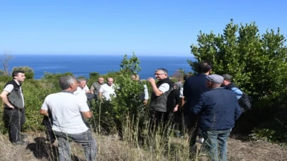 Bursa Orman, Mudanya kırsalında defne sahalarını iyileştirecek