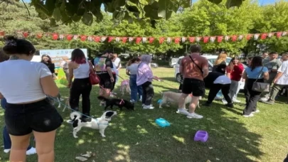 Bursa’da yuvalandırma şenliği başladı!