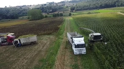 Büyükşehir destekledi, üreticinin yüzü güldü