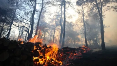 Çanakkale’de orman yangını şüphelisi 2 kişi yakalandı