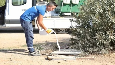 Didim’de ilaçlama çalışmaları aralıksız devam ediyor.