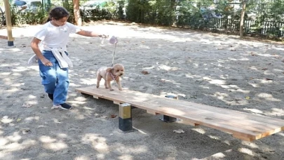 Hayvanları Koruma Günü’nde Kadıköy’de ”Pati Park” Açıldı