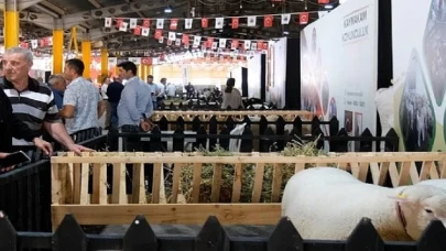 İnegöl’de Küçükbaş Hayvancılık Festivali Başladı