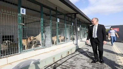 İnegöl’de Sokak Hayvanları İçin Yeni Adımlar Atılıyor