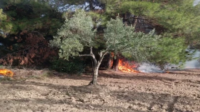 Mudanya Çağrışan’da tarım arazisinde çıkan yangın korkuttu