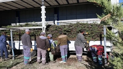 Nevşehir tarihinin en büyük ağaçlandırma seferberliği başlıyor.