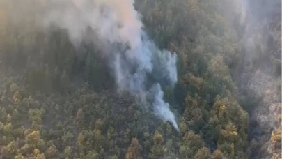 Bilecik Kurtköy’deki orman yangını söndürüldü