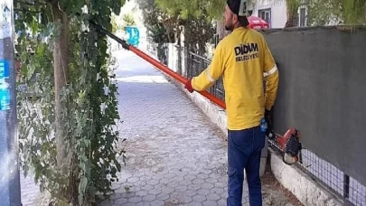 Didim’de Ağaç Budama Çalışmaları Sürüyor