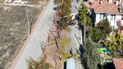 Konya Selçuklu’da ağaçlar budanıyor... Atıklar kompost gübreye dönüştürülüyor