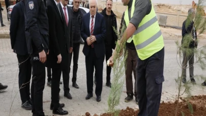 Mardin Yeşilli 2.ci OSB’de binlerce ağaç toprakla buluştu