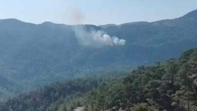 Muğla’nın Köyceğiz ilçesinde orman yangınına müdahale ediliyor