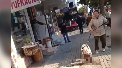 Pitbull cinsi köpeğin kediyi parçaladığı olayda, köpeğin sahibi tutuklandı