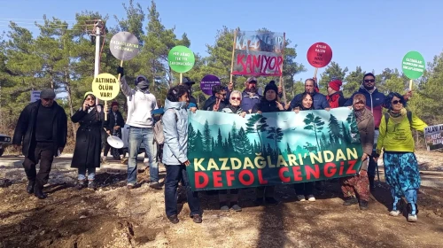 700 bine yakın ağacın katledildiği Kaz Dağları'nda orman köstebek yuvası oldu