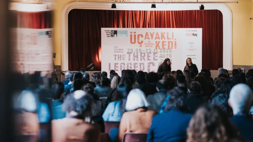 18. İstanbul Bienali, 'Üç Ayaklı Kedi' teması ile 20 Eylül'de kapılarını açacak