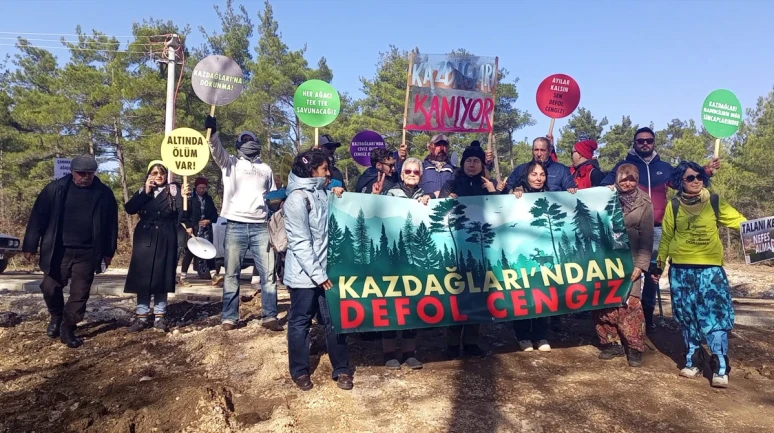 700 bine yakın ağacın katledildiği Kaz Dağları'nda orman köstebek yuvası oldu