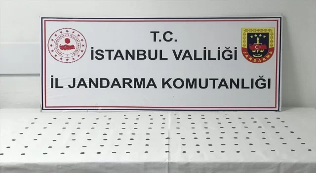 İstanbul’da tarihi eser kaçakçılığı operasyonu