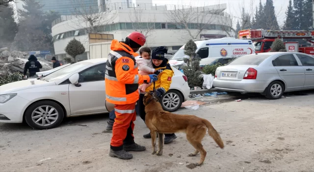 Hassas burunlu köpek ”Alfa” depremzedelere umut oldu