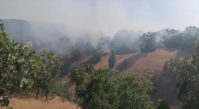 Bingöl’de çıkan orman yangını söndürüldü