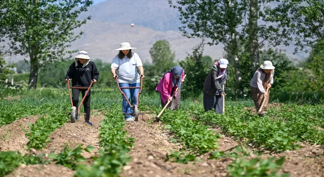 Van’da güç birliği yapan kadınlar ”Ahtamara” markasıyla ürünlerini pazarlıyor