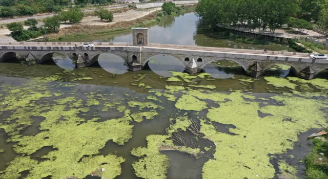 Tunca Nehri’ne atılan çöpler kirliliğe neden oldu