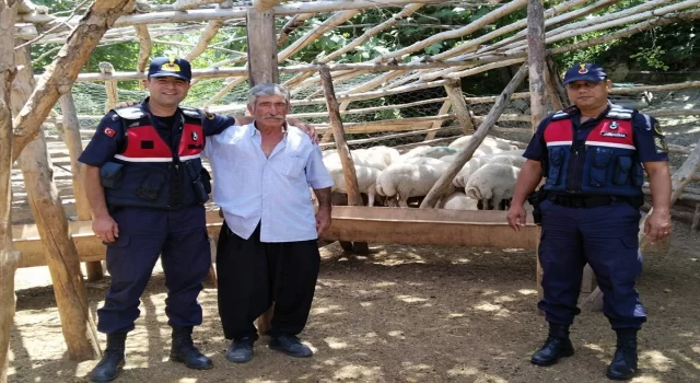 Mersin’de küçükbaş hayvan çalan 2 kişi tutuklandı