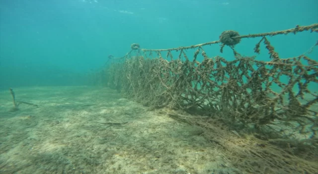 Hayalet ağların endemik deniz canlılarına verdiği zarar akademik çalışmayla ortaya çıktı