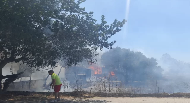 Bodrum’da makilik ve otluk alanda yangın çıktı