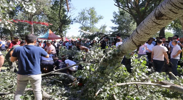 Edirne’de devrilen ağacın altında kalan 2 kişi yaralandı