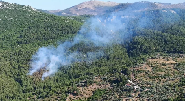 Muğla’da ormanlık alanda çıkan yangına müdahale ediliyor