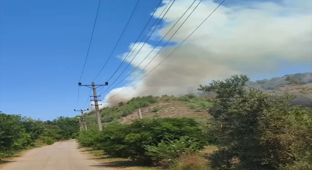 Muğla’da ormanlık alanda çıkan yangına müdahale ediliyor