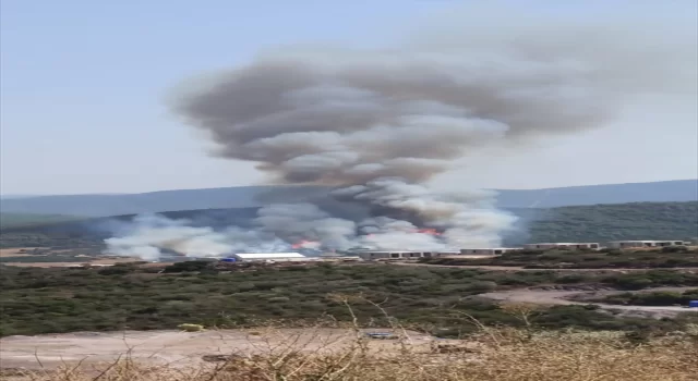 Muğla’da ormanlık alanda çıkan yangına müdahale ediliyor