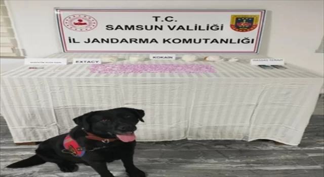 Samsun’da uyuşturucu operasyonunda bir sanık tutuklandı