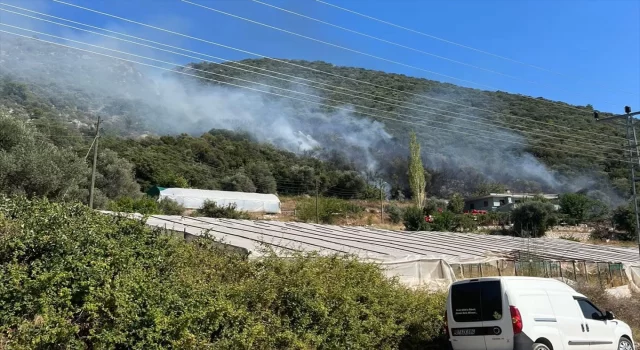 Antalya’nın Kaş ilçesinde makilik alanda yangın çıktı