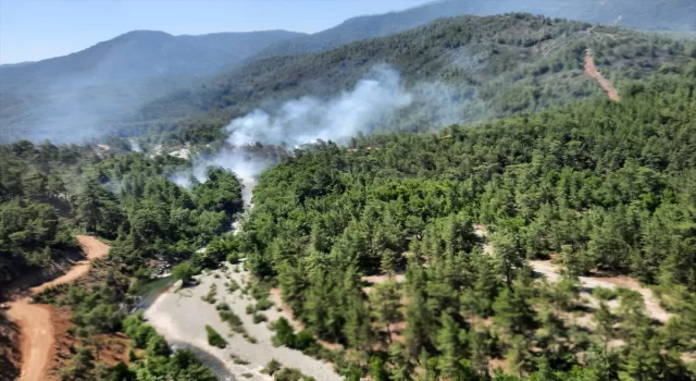 Muğla’da ormanlık alanda yangın çıktı