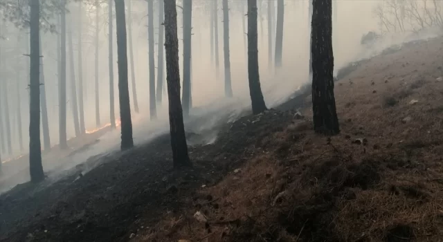 Kahramanmaraş’ta ormanlık alanda yangın çıktı