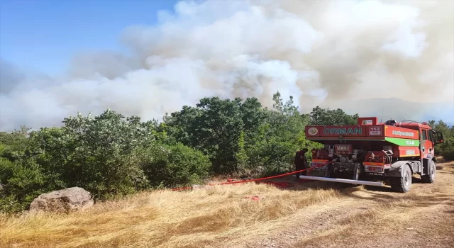 Balıkesir’de çıkan orman yangınına havadan ve karadan müdahale ediliyor