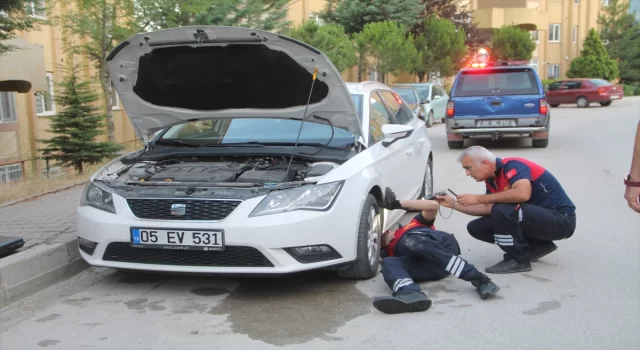 Amasya’da otomobilin motor bölümüne sıkışan 4 kedi yavrusu kurtarıldı