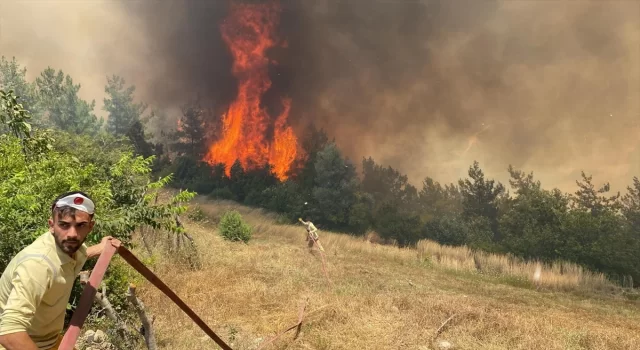 Osmaniye’de orman yangını çıktı