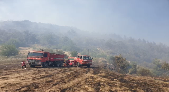 GÜNCELLEME  Osmaniye’de orman yangını çıktı 