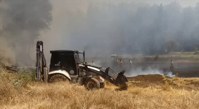 Denizli’de ormanlık alandaki yangın kontrol altına alındı